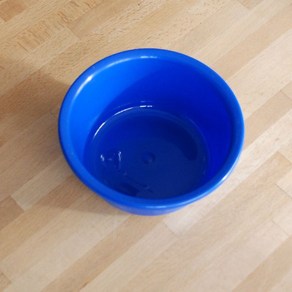 Schüssel rund, ø16cm, 0.8 Liter, farbig sortiert